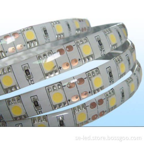 CE ROHS IP65 Led Strip 5050smd 30led/m for Outdoor Using